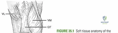 Clinical Image
