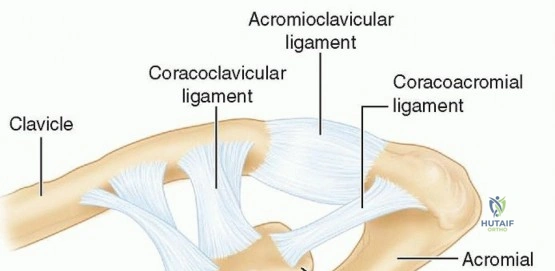 Clinical Image