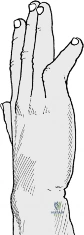 Clinical Image