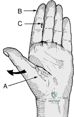 Clinical Image