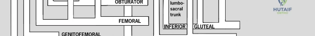 Clinical Image