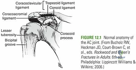Illustration 1 for AC Joint Injury? Effective Healing with a Clavicle Strap Sling