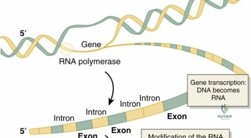 Illustration 1 for Deciphering Syndrome Autosomal Recessive Genetics Explained