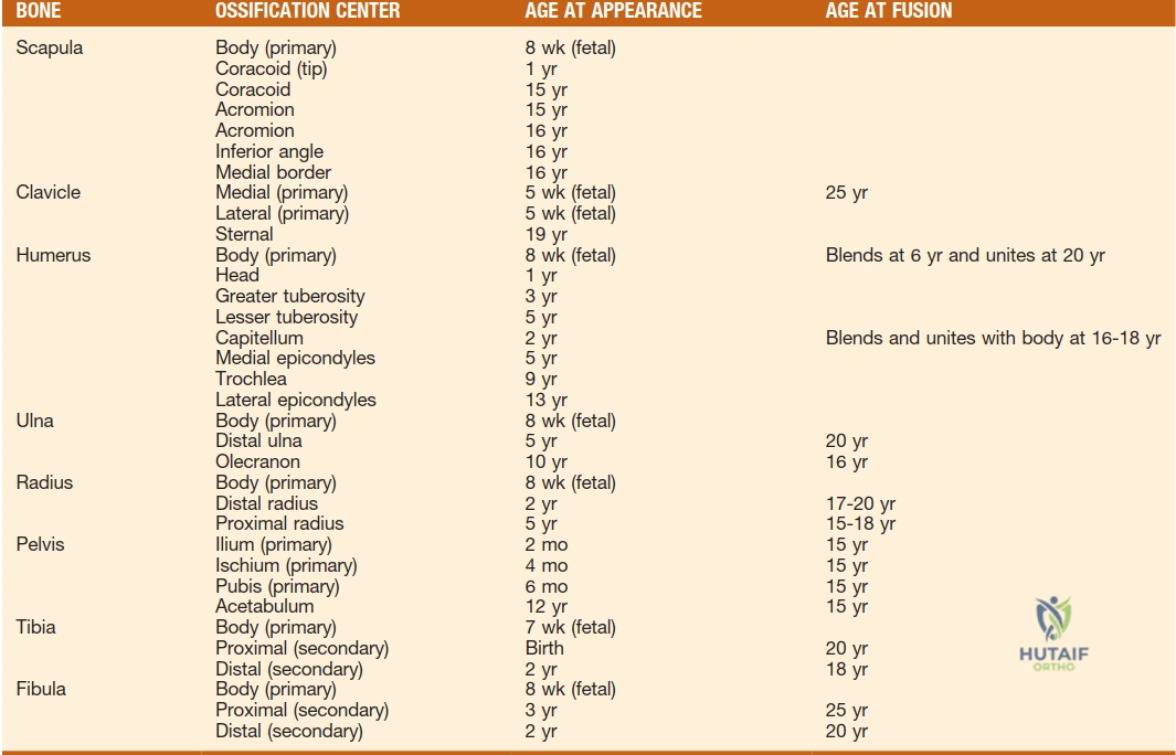 Illustration 2 for Master Primary Wk Fetal Ossification: A Bone Development Timeline