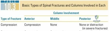 Sagittal view of spinal anatomy and columns