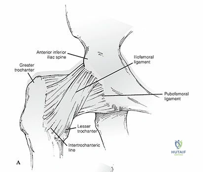 Tibial Plateau Malunion: Advanced Osteotomy and Reconstruction Techniques