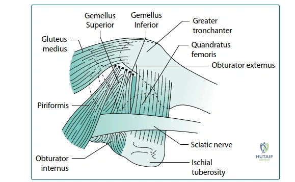 Clinical Image
