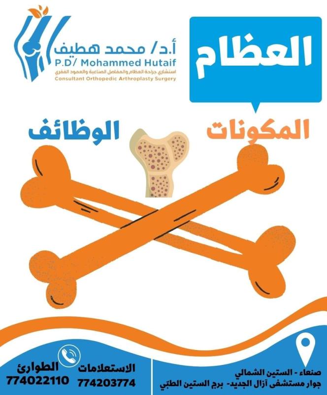 العظام المكونات