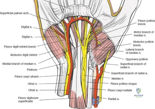 Clinical Image