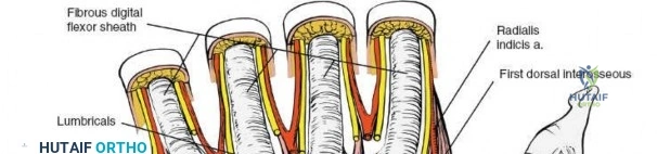 Clinical Image