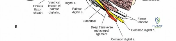 Clinical Image