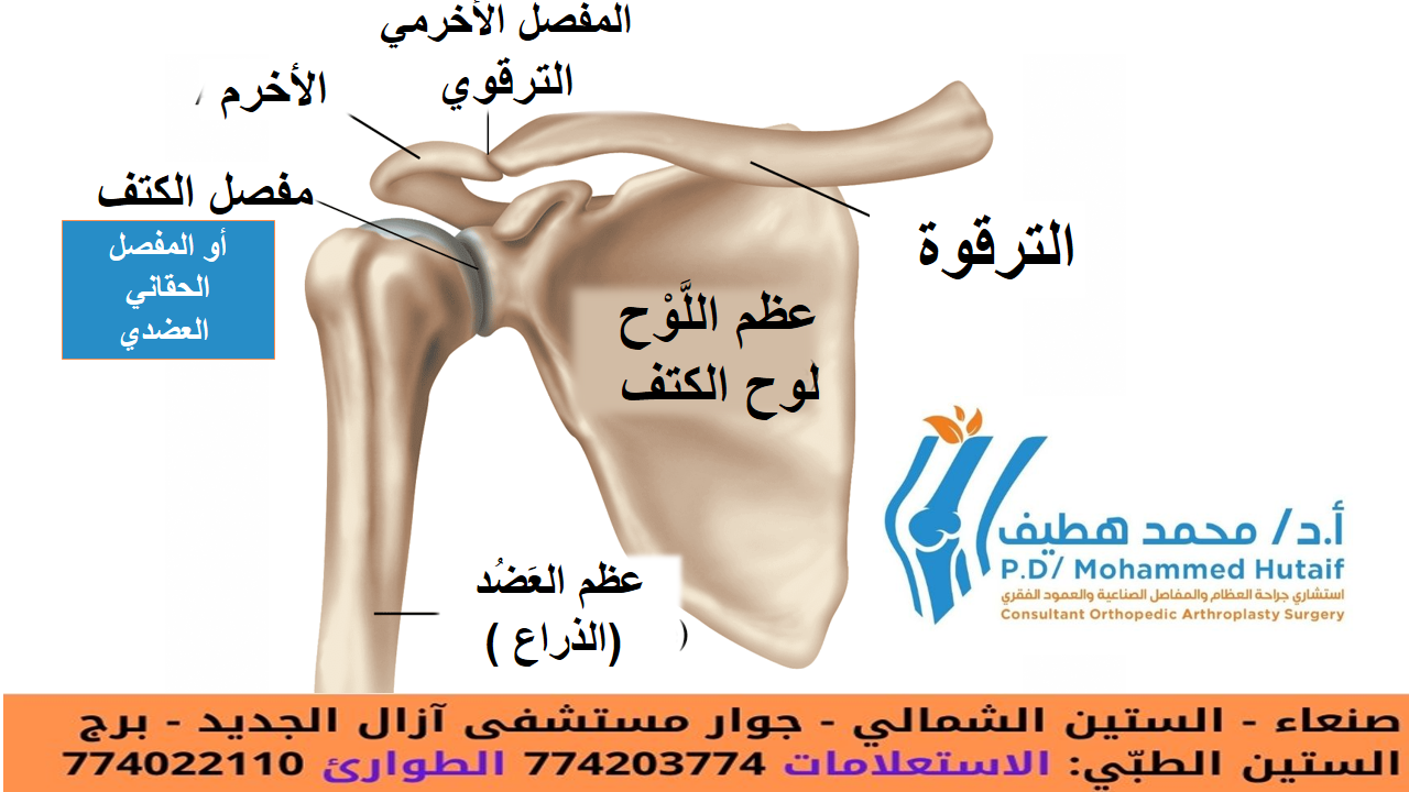 خلع في الكتف الملخص مفصل الكتف هو أكثر مفاصل الجسم حركة. يمكن أن تدور في اتجاهات عديدة ، لكن هذه الميزة تجعل الكتف مفصلًا سهلًا للخلع.  الخلع الجزئي يعني أن رأس عظم العضد (عظم العضد) قد خرج جزئيًا من التجويف (الحقاني). يعني الخلع الكامل أنه قد خرج من المقبس بالكامل. يسبب كل من الخلع الجزئي والكامل الألم وعدم الثبات في الكتف.