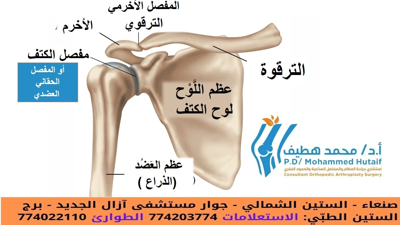 التهاب مفاصل الكتف احتكاك مفاصل الكتف خشونة مفاصل الكتف ملخص كل عام ، يتم تشخيص ملايين الأشخاص حول العالم بأحد أشكال التهاب المفاصل. يُعرف التهاب المفاصل ببساطة بأنه التهاب في مفصل أو أكثر من مفاصلك. في الكتف المصاب ، يسبب هذا الالتهاب ألمًا وتيبسًا يمكن أن يجعل من الصعب رفع ذراعك أو تمشيط شعرك أو الوصول إلى رف مرتفع. على الرغم من عدم وجود علاج شافٍ لالتهاب مفاصل الكتف ، إلا أن هناك العديد من خيارات العلاج المتاحة. بحيث، يمكن لمعظم الأشخاص المصابين بالتهاب المفاصل التحكم في الألم والبقاء نشيطين. تشريح كتفك مكونة من ثلاث عظام: عظم العَضُد  (الذراع ) عظم اللَّوْح أو لوح الكتف الترقوة يتناسب رأس عظمة الجزء العلوي من ذراعك مع تجويف دائري في كتفك. هذا التجويف يسمى الحقاني. مجموعة من العضلات والأوتار تحافظ على مركز عظم ذراعك في تجويف الكتف. تسمى هذه أنسجة الكفة المدورة. يوجد مفصلان في الكتف وقد يتأثر كلاهما بالتهاب المفاصل. يوجد مفصل حيث تلتقي الترقوة بطرف لوح الكتف (الأخرم). وهذا ما يسمى المفصل الأخرمي الترقوي (AC). والثاني هو مكان وضع رأس عظم العضد في لوح الكتف ويسمى المفصل الحقاني العضدي. رسم توضيحي لتشريح الكتف الطبيعي العلاج الفعال، يستلزم تحديد المفصل المصاب ونوع التهاب المفاصل الذي تعاني منه. وصف خمسة أنواع رئيسية من التهاب المفاصل تؤثر عادة على الكتف. احتكاك او خشونة العظام يُعرف أيضًا باسم التهاب المفاصل "التآكل والتلف" ، وهو حالة تؤدي إلى تدمير الغطاء الخارجي الأملس (الغضروف المفصلي) للعظام. مع تآكل الغضروف المفصلي ، يصبح مهترئًا وخشنًا ، وتقل المساحة الواقية بين العظام. أثناء الحركة ، تحتك عظام المفصل ببعضها البعض ، مما يسبب الألم. غالبًا ما يشار إلى هذا باسم التهاب المفاصل او احتكاك او خشونة العظام "العظم على العظم". عادةً ما يصيب احتكاك او خشونة العظام الأشخاص الذين تزيد أعمارهم عن 50 عامًا وهو أكثر شيوعًا في المفصل الأخرمي الترقوي منه في مفصل الكتف الحقاني العضدي. رسم توضيحي وأشعة سينية يظهران احتكاك او خشونة العظام في الكتف وانخفاض مساحة المفصل التهاب المفاصل الرثوي (الروماتويدي) والتهاب المفاصل الرثوي هو حالة مزمنة تصيب المفاصل على جانبي الجسم، فيصيب مثلًا كلتا اليدين أو المعصمين و/أو الركبتين. وتتميز هذه الحالة عن غيرها من أنواع التهاب المفاصل الأخرى بتعدد وتناسق التهاب المفاصل بهذه الطريقة. تُغطى مفاصل جسمك ببطانة - تسمى الغشاء الزليلي - تعمل على تليين المفصل وتسهيل حركته. يتسبب التهاب المفاصل الروماتويدي في انتفاخ البطانة ، مما يسبب ألمًا وتيبسًا في المفصل. ولا يقتصر التهاب المفاصل الرثوي على المفاصل وحسب، فأحيانًا يمكن أن يصيب أعضاء الجسم الُأخرى كالجلد والعينين والرئتين والقلب والدم والأعصاب والكليتين. التهاب المفاصل الروماتويدي هو أحد أمراض المناعة الذاتية. هذا يعني أن الجهاز المناعي يهاجم أنسجته. في التهاب المفاصل الروماتويدي ، تعمل الدفاعات التي تحمي الجسم من العدوى على إتلاف الأنسجة الطبيعية (مثل الغضاريف والأربطة) وتليين العظام. التهاب المفاصل الروماتويدي شائع أيضًا في كلا مفصلي الكتف. التهاب المفاصل ما بعد الصدمة التهاب المفاصل ما بعد الصدمة هو شكل من أشكال هشاشة العظام الذي يتطور بعد الإصابة ، مثل كسر أو خلع في الكتف. تمزق الكُفَّة المُدَوِّرَة أو الكُفَّة المديرة يمكن أن يتطور التهاب المفاصل أيضًا بعد تمزق وتر الكفة المدورة. اذ لم يعد بإمكان الكفة المدورة الممزقة تثبيت رأس عظم العضد في التجويف الحقاني، ويمكن لعظم العضد أن يتحرك لأعلى ويحتك مع الأخرم. يمكن أن يؤدي ذلك إلى إتلاف أسطح العظام ، مما يؤدي إلى الإصابة بالتهاب مفاصل الكتف او احتكاك مفاصل الكتف  اوخشونة مفاصل الكتف يمكن أن يؤدي الجمع بين تمزق الكفة المدورة الكبير والتهاب المفاصل المتقدم إلى ألم شديد وضعف ، وقد لا يتمكن المريض من رفع ذراعه. رسم توضيحي لاعتلال مفاصل الكفة المدورة مرض نقصان الدم المزود للعظام (النخر اللاوعائي) النخر اللاوعائي (AVN) للكتف هو حالة مؤلمة تحدث عندما ينقطع تدفق الدم إلى رأس عظم العضد. لأن الخلايا العظمية تموت دون إمداد الدم ، يمكن أن يؤدي مرض نقصان الدم المزود للعظام (النخر اللاوعائي)في النهاية إلى تدمير مفصل الكتف. يتطور النخر اللاوعائي على مراحل. مع تقدمه ، ينهار العظم الميت تدريجيًا ، مما يؤدي إلى إتلاف الغضروف المفصلي الذي يغطي العظم ويؤدي إلى التهاب المفاصل. في البداية ، يؤثر مرض نقصان الدم المزود للعظام (النخر اللاوعائي)فقط على رأس عظم العضد ، ولكن مع تقدم مرض نقصان الدم المزود للعظام (النخر اللاوعائي)، يمكن أن يتسبب رأس عظم العضد المنهار في إتلاف التجويف الحقاني. تشمل أسباب مرض نقصان الدم المزود للعظام (النخر اللاوعائي)استخدام جرعات عالية من الستيرويد ، والإفراط في استهلاك الكحول ، ومرض الخلايا المنجلية ، والإصابات الرضحية ، مثل كسور الكتف. في بعض الحالات ، لا يمكن تحديد سبب ؛ يشار إلى هذا باسم مرض نقصان الدم المزود للعظام (النخر اللاوعائي)مجهول السبب. أعراض الم. أكثر أعراض التهاب مفصل الكتف شيوعًا هو الألم. يتفاقم هذا الألم بسبب النشاط ويزداد سوءًا بمرور الوقت. يختلف مكان الألم ، اعتمادًا على مفصل الكتف المصاب: إذا تأثر مفصل الكتف الحقاني العضدي ، يتركز الألم في جانب أو مؤخرة الكتف وقد يتفاقم مع التغيرات في الطقس. يشكو المرضى من وجع عميق في المفصل. يتركز ألم التهاب المفاصل في المفصل الأخرمي الترقوي على الجزء العلوي من الكتف. يمكن أن ينتقل هذا الألم أحيانًا أو ينتقل إلى جانب الرقبة. قد يعاني الشخص المصاب بالتهاب المفاصل الروماتويدي من ألم في جميع أنحاء الكتف إذا تأثر كل من المفصل الحقاني العضدي والمفصل الأخرمي الترقوي (AC).. مع تقدم المرض ، فإن أي حركة للكتف تسبب الألم. الألم الليلي شائع ، وقد يكون النوم صعبًا. قد تشمل الأعراض الأخرى: نطاق محدود من الحركة. تعد الحركة المحدودة من الأعراض الشائعة الأخرى. قد يصبح رفع ذراعك أكثر صعوبة لتمشيط شعرك أو الوصول إلى الرف. قد تسمع صوت طحن أو نقر أو فرقعة أثناء تحريك كتفك. أحيانًا يكون صوت الفرقعة مؤلمًا ويمكن أن يكون مرتفعًا بما يكفي ليستمع إليه الآخرون ، فحص الطبيب التاريخ الطبي والفحص البدني بعد مناقشة الأعراض والتاريخ الطبي ، سيفحص طبيبك كتفك. أثناء الفحص البدني ، سيبحث طبيبك عن: ضعف (ضمور) العضلات الم عند للمس مدى نطاق الحركة السلبي (المساعد) والنشط (الموجه ذاتيا) ألم عند الضغط على المفصل أي علامات إصابة في العضلات والأوتار والأربطة المحيطة بالمفصل علامات الإصابات أو العمليات الجراحية السابقة إصابة المفاصل الأخرى (دلالة على التهاب المفاصل الروماتويدي) الأشعة السينية الأشعة السينية هي اختبارات تصوير تخلق صورًا مفصلة للهياكل الكثيفة ، مثل العظام. يمكنهم المساعدة في التمييز بين الأشكال المختلفة لالتهاب المفاصل. ستظهر الأشعة السينية للكتف المصابة بالتهاب المفاصل تضيقًا في مساحة المفصل ، وتغيرات في العظام ، وتشكيل نتوءات عظمية (نبتات عظمية) . تُظهر هذه الأشعة السينية الإصابة بالتهاب الكتف او احتكاك الكتف اوخشونة  الكتف شديدة في المفصل الحقاني العضدي. العلاج العلاج غير الجراحي كما هو الحال مع حالات التهاب المفاصل الأخرى ، فإن العلاج الأولي لالتهاب مفاصل الكتف غير جراحي. قد يوصي طبيبك بما يلي: الراحة أو التغيير في الأنشطة. قد تحتاج إلى تغيير طريقة تحريك ذراعك لتجنب إثارة الألم. قد تحسن تمارين العلاج الطبيعي نطاق الحركة في كتفك. قد تقلل العقاقير غير الستيرويدية المضادة للالتهابات (NSAIDs) ، مثل الأسبرين أو الأيبوبروفين أو النابروكسين ، الالتهاب والألم. يمكن أن تهيج هذه الأدوية بطانة المعدة وتسبب نزيفًا داخليًا. يجب تناولها مع الطعام. استشر طبيبك قبل تناول مضادات الالتهاب غير الستيرويدية التي لا تستلزم وصفة طبية يمكن لحقن الكورتيكوستيرويد في الكتف أن يقلل بشكل كبير من الالتهاب والألم. ومع ذلك ، فإن التأثير غالبًا ما يكون مؤقتًا. قد توفر الحرارة الرطبة راحة مؤقتة. ضع الثلج على كتفك لمدة 20 إلى 30 دقيقة مرتين أو ثلاث مرات في اليوم لتقليل الالتهاب وتخفيف الألم. إذا كنت مصابًا بالتهاب المفاصل الروماتويدي ، فقد يصف لك طبيبك (اختصاصي أمراض الروماتيزم عادةً) دواءً معدلاً للمرض ، مثل الميثوتريكسات. قد تساعد المكملات الغذائية ، مثل الجلوكوزامين وكبريتات شوندروتن في تخفيف الألم. (ملاحظة: هناك القليل من الأدلة العلمية لدعم استخدام الجلوكوزامين وكبريتات شوندروتن لعلاج التهاب المفاصل. بالإضافة إلى ذلك ، لا تختبر إدارة الغذاء والدواء الأمريكية المكملات الغذائية. قد تسبب هذه المركبات تفاعلات سلبية مع الأدوية الأخرى. استشر طبيبك دائمًا قبل تناول المكملات الغذائية.) العلاج الجراحي قد يفكر طبيبك في الجراحة إذا كان ألمك يسبب إعاقة ولم يتم تخفيفه بالعلاج غير الجراحي. تنظير المفصل. يمكن علاج حالات التهاب المفاصل الحقاني العضدي الخفيف عن طريق تنظير المفصل ، أثناء تنظير المفاصل ، يقوم الطبيب بإدخال كاميرا صغيرة تسمى منظار المفصل في مفصل الكتف. تعرض الكاميرا الصور على شاشة فيديو ، ويستخدم الطبيب هذه الصور لتوجيه الأدوات الجراحية المصغرة. نظرًا لأن منظار المفصل والأدوات الجراحية رفيعة ، يمكن للجراح استخدام شقوق صغيرة جدًا بدلاً من الشق الأكبر المطلوب لإجراء الجراحة القياسية المفتوحة. أثناء الإجراء ، يمكن لطبيبك أن ينظف  الجزء الداخلي من المفصل. على الرغم من أن الإجراء يخفف الآلام ، إلا أنه لن يقضي على التهاب المفاصل من المفصل. إذا تطور التهاب المفاصل ، فقد تكون هناك حاجة إلى مزيد من الجراحة في المستقبل. استبدال مفصل الكتف (تقويم المفاصل). يمكن علاج التهاب المفاصل المتقدم في المفصل الحقاني العضدي بجراحة استبدال الكتف. في هذا الإجراء ، تتم إزالة الأجزاء التالفة من الكتف واستبدالها بمكونات صناعية تسمى الأطراف الاصطناعية. تشمل خيارات جراحة الاستبدال ما يلي: استبدال المفصل النصفي. يتم استبدال رأس عظم العضد بمكون اصطناعي. تقويم مفصل الكتف الكلي . يتم استبدال كل من رأس عظم العضد والحقاني. يتم تركيب كوب بلاستيكي في الحقاني ، ويتم توصيل كرة معدنية بأعلى عظم العضد. عكس تقويم مفصل الكتف الكلي . في الاستبدال الكلي للكتف ، يكون التجويف والكرة المعدنية في مواجهة تقويم مفصل الكتف الكلي التقليدي. يتم تثبيت الكرة المعدنية على الحقاني ، ويتم تثبيت الكوب البلاستيكي في الطرف العلوي من عظم العضد. يعمل الاستبدال الكلي العكسي للكتف بشكل أفضل للأشخاص الذين يعانون من اعتلال مفصل الكفة لأنه يعتمد على عضلات مختلفة - وليس الكفة المدورة - لتحريك الذراع. خيارات جراحة الاستبدال رأب المفصل الاستئصالي. الإجراء الجراحي الأكثر شيوعًا المستخدم لعلاج التهاب المفاصل في المفصل الأخرمي الترقوي هو رأب المفاصل الاستئصالي. اعتمادًا على حالتك الخاصة ، يمكن إجراء هذا الإجراء إما بالمنظار أو من خلال الجراحة المفتوحة التقليدية.