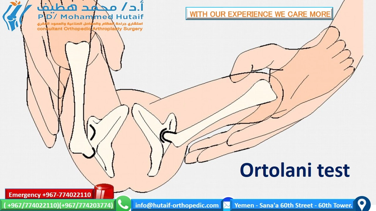 Hip Dysplasia